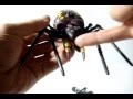 Beast Wars Tarantulas Review