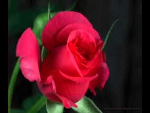 FOR ONCE IN MY LIFE BY CONSTANTINO BALAN