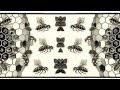 Escher - Metamorphose II VS Bela Lugosi's dead ...