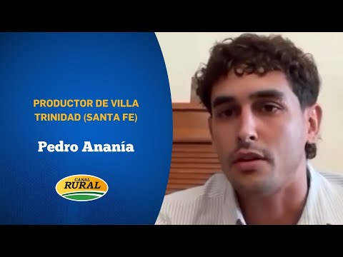 Pedro Ananía | PRODUCTOR DE VILLA TRINIDAD (SANTA FE) | 13 ENE | EDICIÓN CENTRAL
