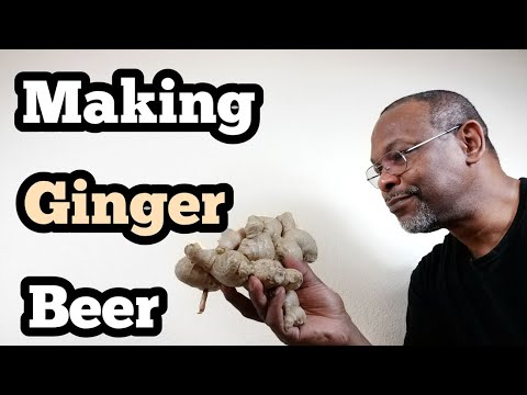 Making Ginger Beer