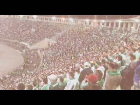 Torcida no jogo! Palmeiras 4 x 0 Icasa