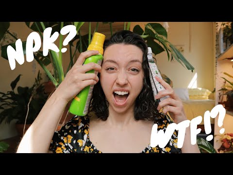 HOW TO FERTILIZE INDOOR PLANTS | houseplant fertilizer guide for beginners + liquidirt how-to!