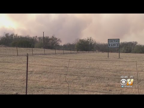 North Texas Communities Band Together To Fight 'Big L' Wildfire