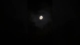 video of Luna from my phone! #fyp #space #astrophotography #moon