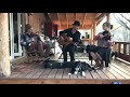 Forest Sun - "Bring Me Home" Porch Session