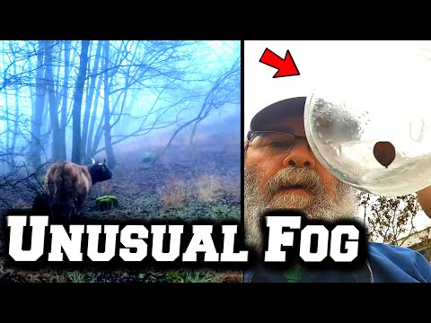 Unusual Fog Events Across the U.S. and UK (Eyewitness Videos)