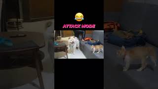 Download lagu ANG SUNGIT NI ORENG 🤣 mp3