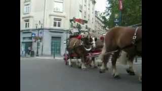 Fête de la bière, Bruxelles 2007 