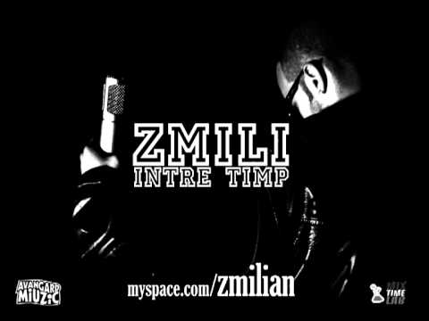 Zmili - Intre timp