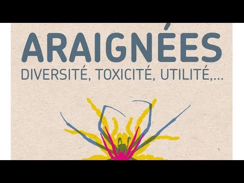 Planète-conférences - Araignées : diversité, toxicité, utilité,...
