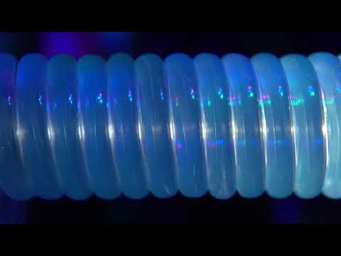 :abstrakt - post sapiens