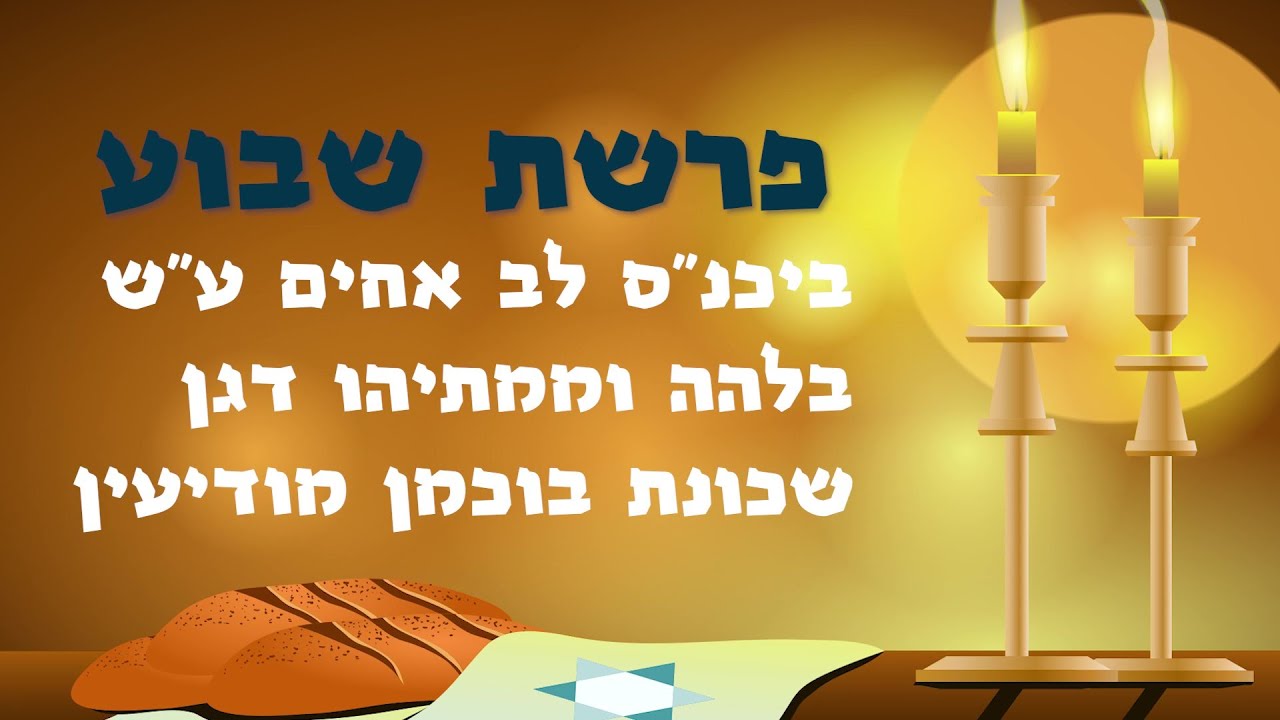 "אין שם זכר מגיפה - פרשת בראשית תשפ"א"