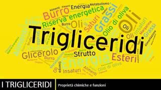 I trigliceridi