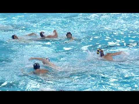 Steaua Bucarest vs Jug Dubrovnik - Full Match - Champion's League 2021/2022 Day 4