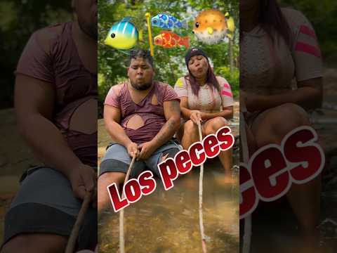 A Day of Fishing #reflections #drama #shortvideos