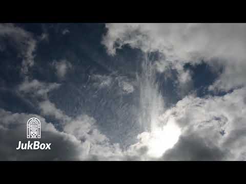 nvsh - Rollercoaster ft. Loveonfriday