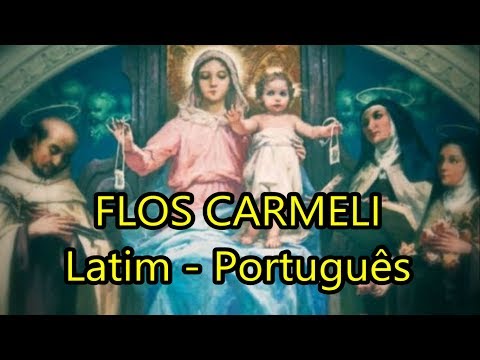Flos Carmeli
