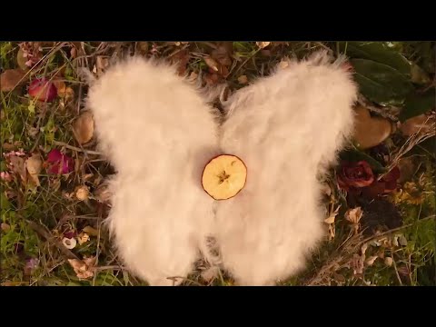 we shrunk - simplicity (official music video)