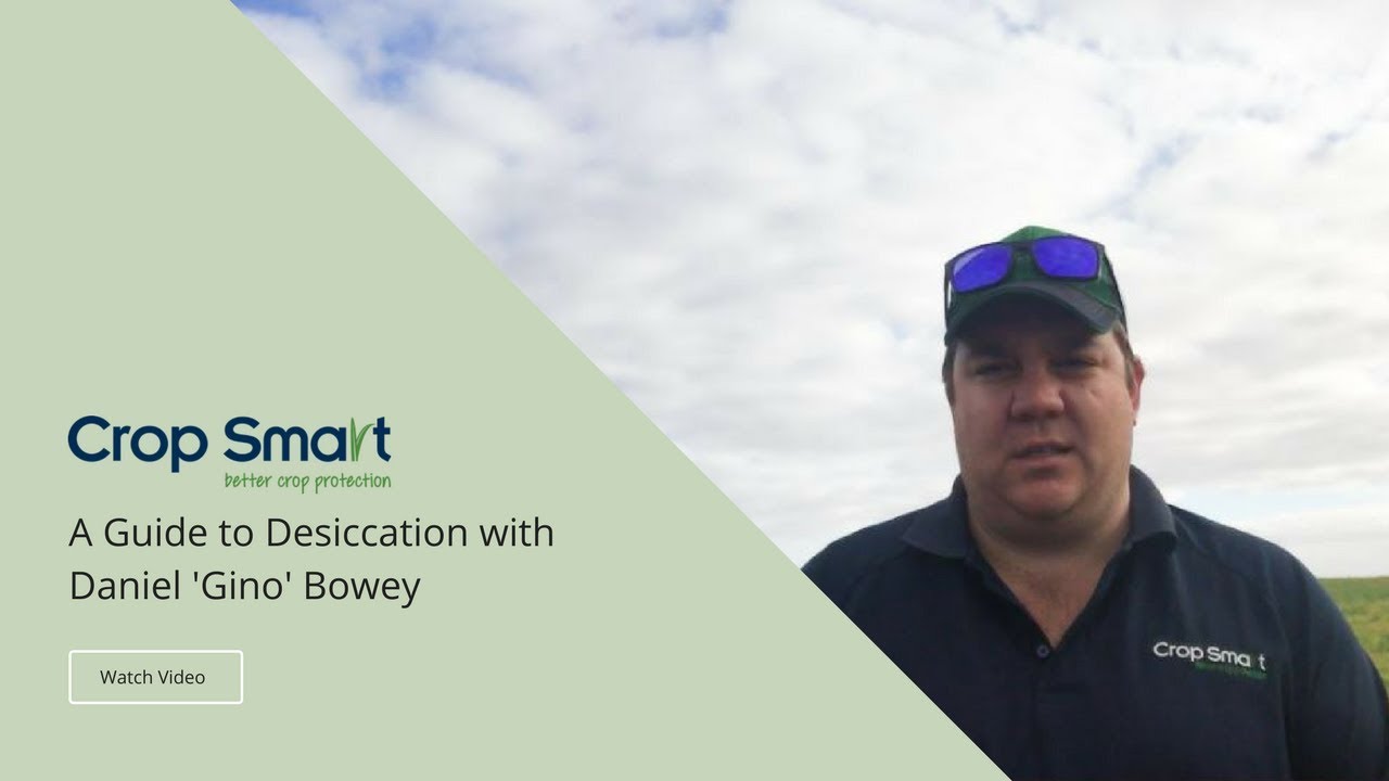 A Guide to Desiccation