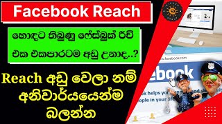 How to Solve Facebook Reach Down Problem Sinhala  
