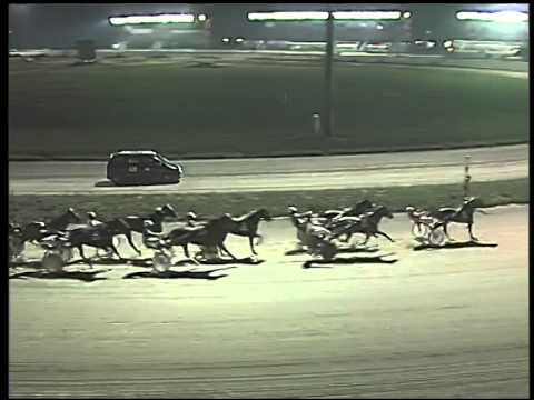 Trotto 30/12/2014 - 8° corsa