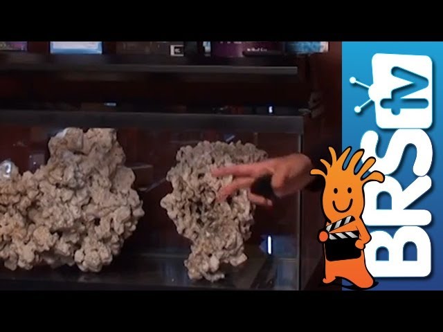 How to set up a saltwater aquarium - Episode 1: Reef tanks made fun and easy