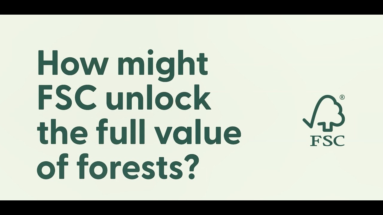 FSC Circularity Hub - Can Circularity Create New Value for Forest Owners?