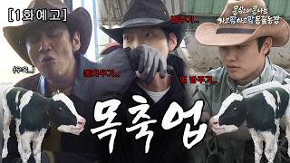 [1화 예고] 어떻게 소똥까지 사랑하겠어, 소를 사랑하는 거지ㅣ 🐮🐴 콩콩팜팜