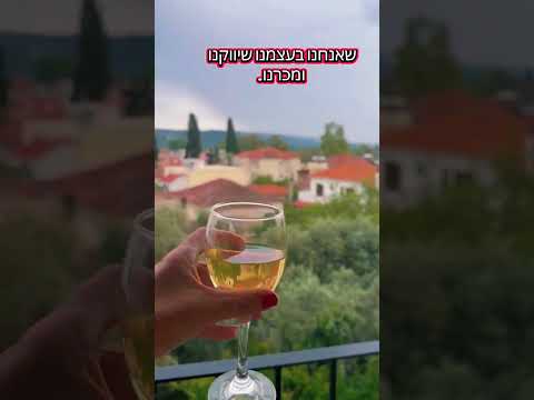 סרטון קצר — וולוס ופיליון