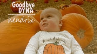 Goodbye Dyna - Hendrix