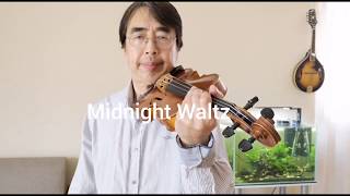 midnight waltz （ david garrett ）play along with me