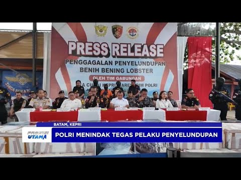 BARESKRIM POLRI GAGALKAN PENYELUNDUPAN BENIH LOBSTER DI BINTAN