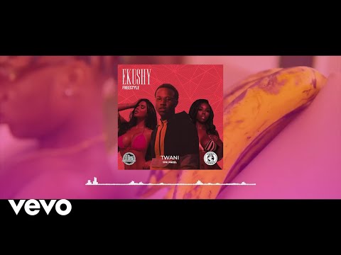 TWani - Ekushy Freestyle