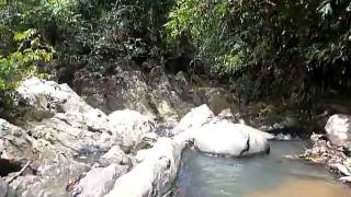 preview picture of video 'Sri Lanka,ශ්‍රී ලංකා,Ceylon,Jungle River (03)'