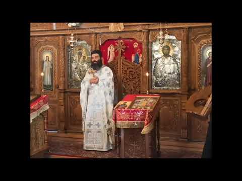 20190217 NICOLAE BALASOIU – DUMINICA VAMESULUI SI A FARISEULUI