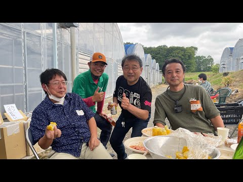 ピッチャープラント 植物