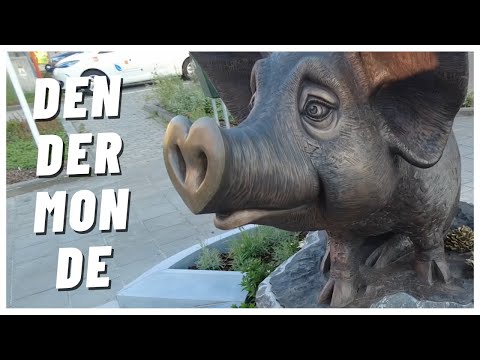 Dendermonde - Hidden gem or boring town in Belgium? 🇧🇪