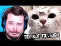 Your Funny Videos Made My Day Better Try Not To Laugh Challenge