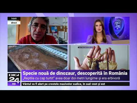 Nouă specie de dinozaur descoperită în Ţara Haţegului. Transylvanosaurus platycephalus avea 2 metri