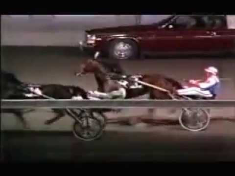 1984 The Meadows DRAGON'S LAIR Breeders Crown 2yo C&G Pace Final