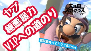 【スマブラSP】医者とやぶ医者、どっちがお好み？