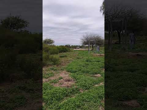 Campo ganadero departamento Banda, Santiago del Estero