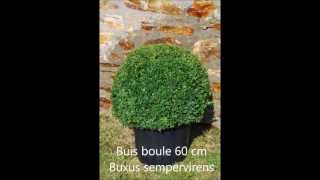 preview picture of video 'Plantes - pepiniere - plantes de haie - arbustes'