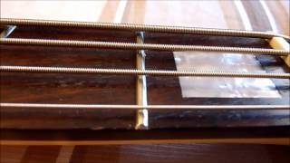 Video thumbnail for Dan Andriano GPC Signature Bass by Dylan M