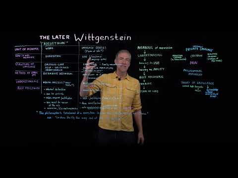 The Later Wittgenstein