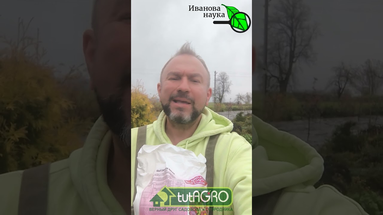 САМЫЕ ДЕШЕВЫЕ УДОБРЕНИЯ: стоит копейки, а польза о-го-го!