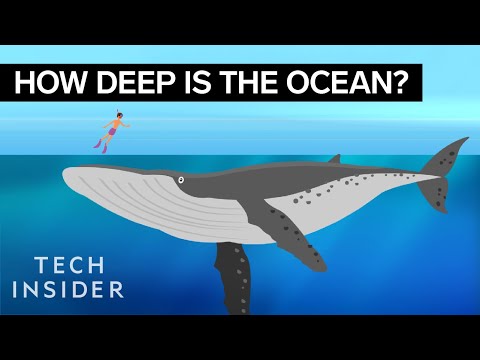 How Deep is the Ocean - Conditionals