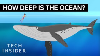 This incredible animation shows how deep the ocean really is