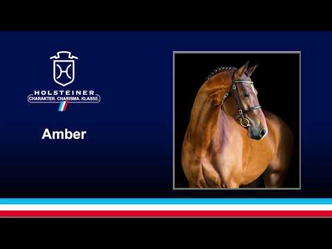 Amber v. Ampere - Linaro | 2018